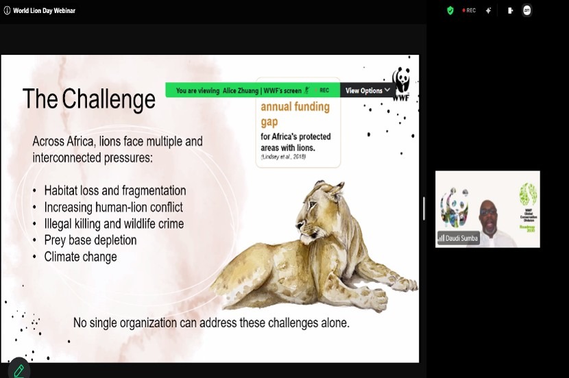 World Lion Day 2026 Webinar Image 11